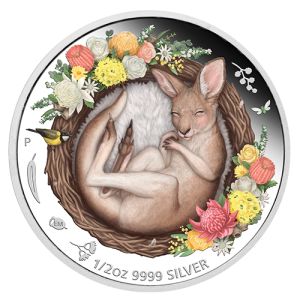 1/2 oz Silver Kangaroo Coloured, Dreaming Down Under Series 2021 